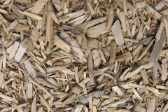 biomass boilers Toldish