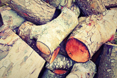 Toldish wood burning boiler costs